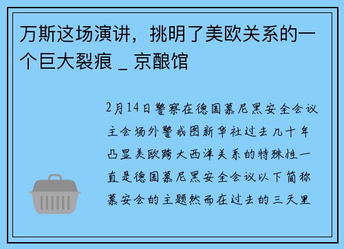 万斯这场演讲，挑明了美欧关系的一个巨大裂痕 _ 京酿馆