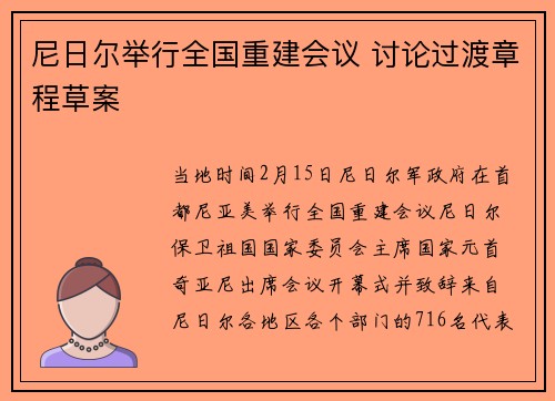 尼日尔举行全国重建会议 讨论过渡章程草案